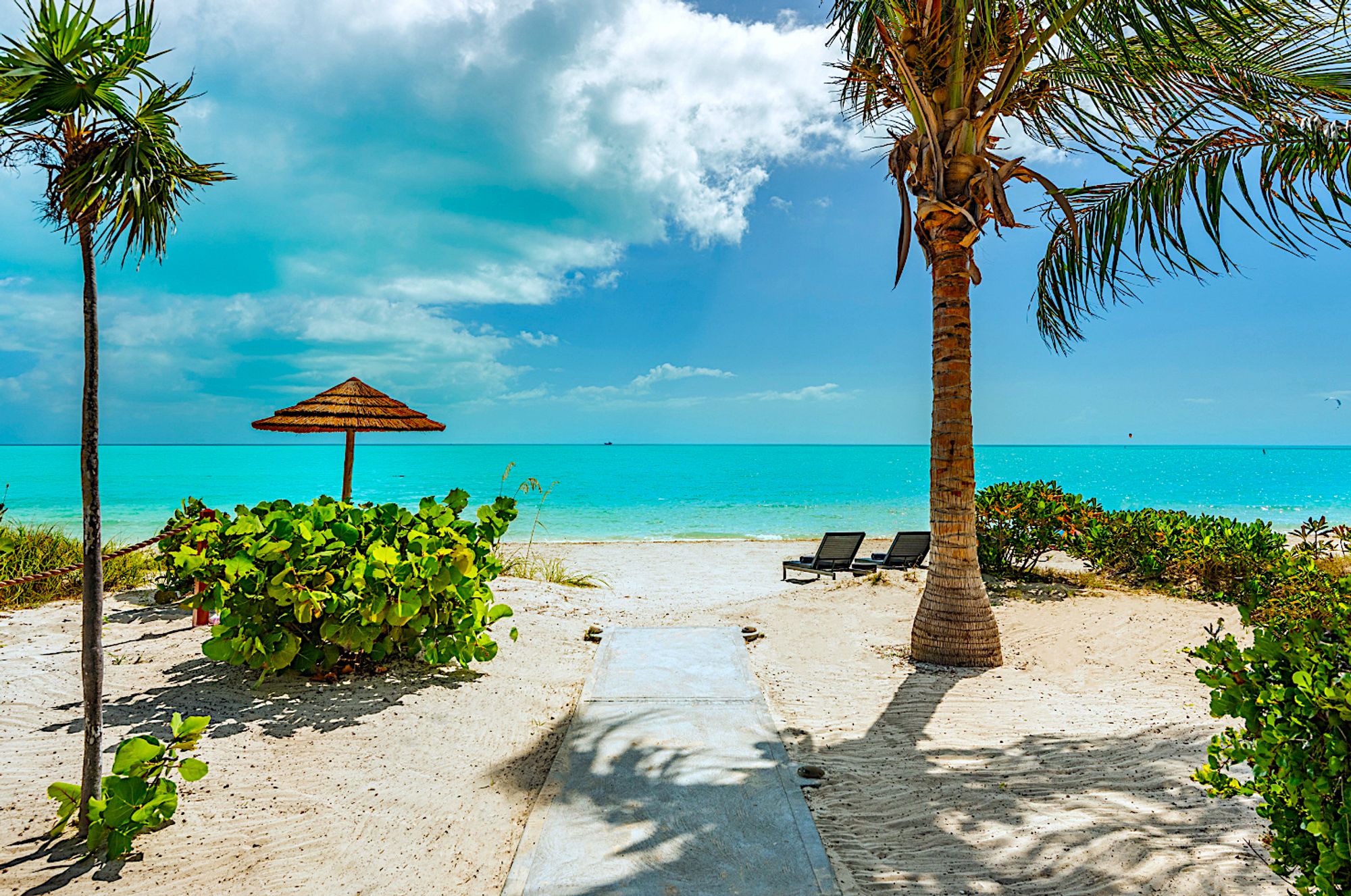 Palm-lined beach path opening onto turquoise water